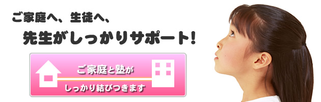 サポートシステム